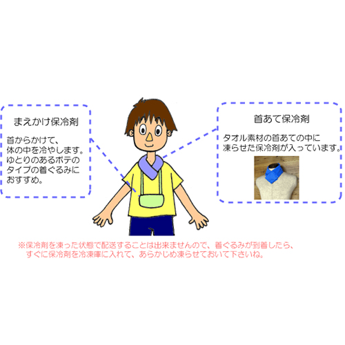 ペッタン（ペンギン）エアー式 着ぐるみ